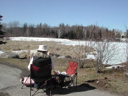 Art-by-Sandy-Baylin-Painter-Montreal Art-by-Sandy-Baylin-Painter-Montreal